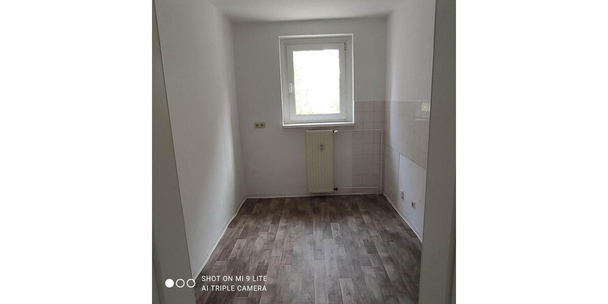 Renovierte 4 ZKB in Elsteraue OT Profen 4 zimmer