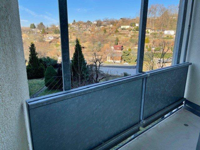 Etagenwohnung Gera Alt-Bieblach - 1 Zimmer, 49 m&sup2;, 317&euro; | Angebot:26621283
