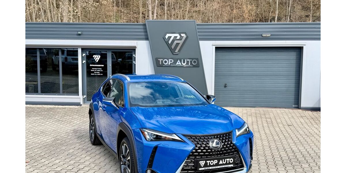 Lexus UX 56.924 km 26.999 &euro; Weida 07570