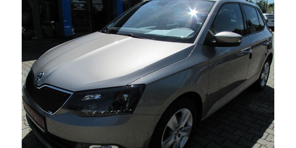 Skoda Fabia 172.800 km 6.666 &euro; Altenburg 04600
