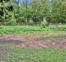 Mehrfamilienhaus, Wohnhaus Teuchern Gröben - 2 Zimmer, 390 m&sup2;, 135.000&euro; | Angebot:21133339