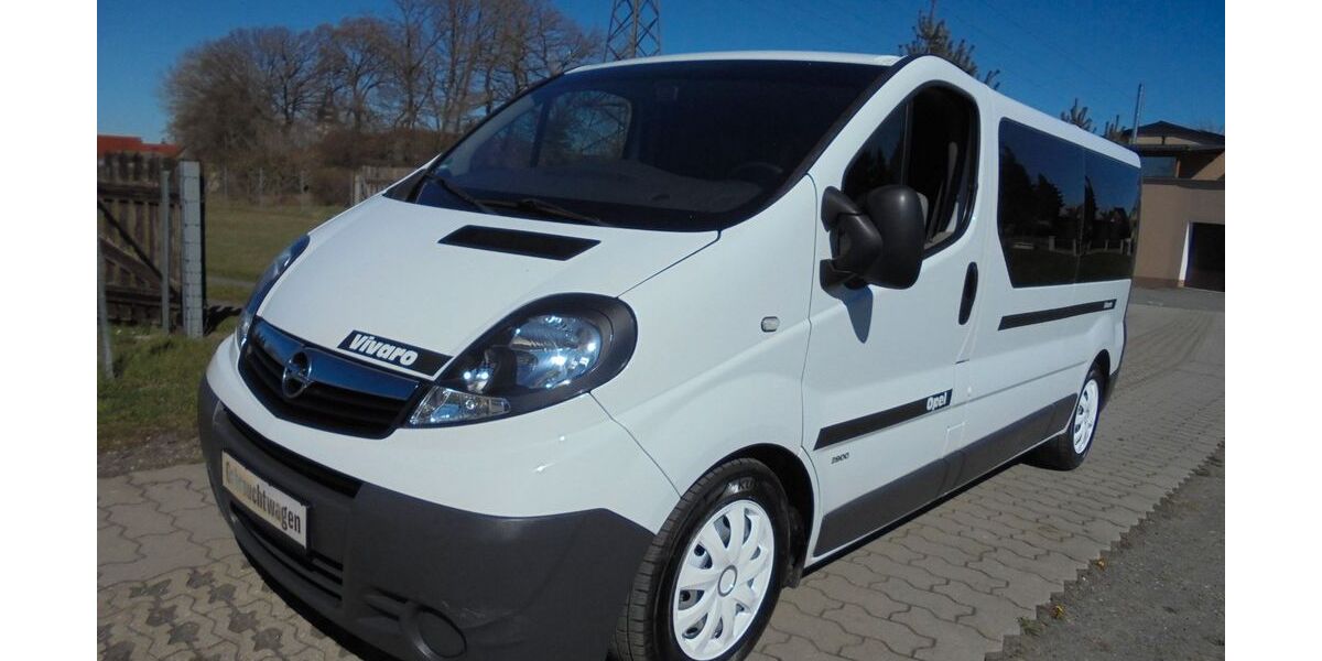 Opel Vivaro 196.900 km 8.999 &euro; Schleifreisen 07629