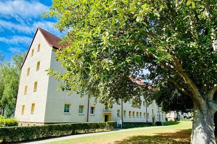 Wohnung Ronneburg - 2 Zimmer, 50 m&sup2;, 268&euro; | Angebot:26252795