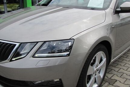 Skoda Octavia 145.990 km 11.990 € Altenburg 04600