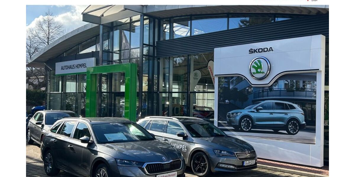 Skoda Karoq 54.993 km 29.490 &euro; Gera 07548