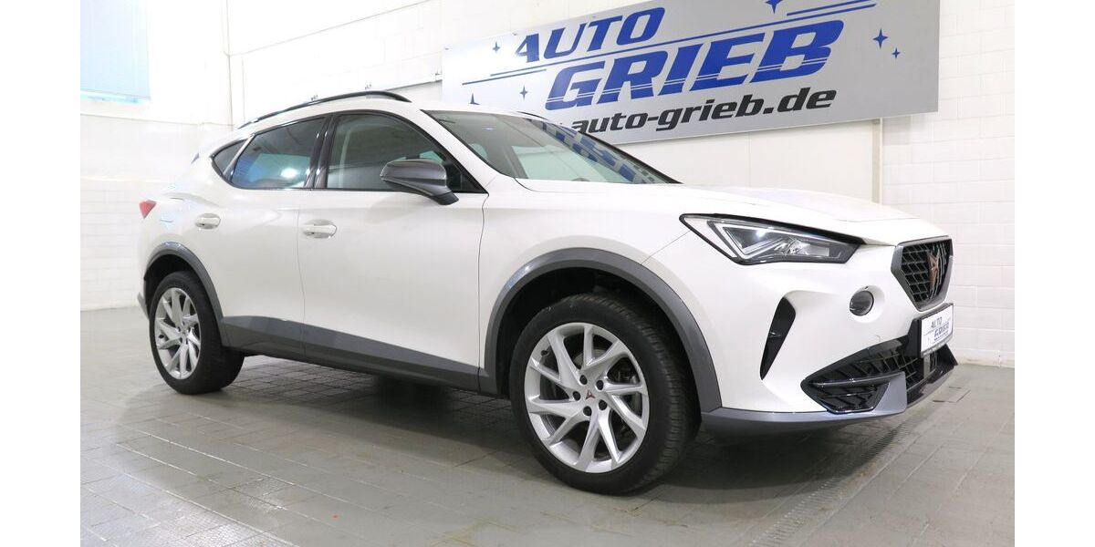Cupra Formentor 82.800 km 21.850 &euro; Miesitz 07819