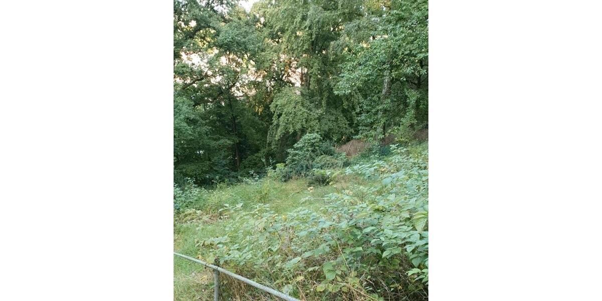 Grundstück Stadtroda - 9.500&euro; | Angebot:26089427