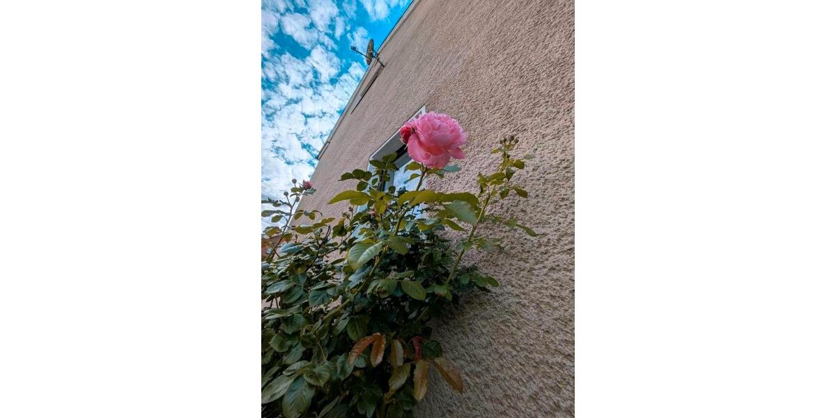 Doppelhaushälfte Greiz - 5 Zimmer, 90 m&sup2;, 84.500&euro; | Angebot:27272741