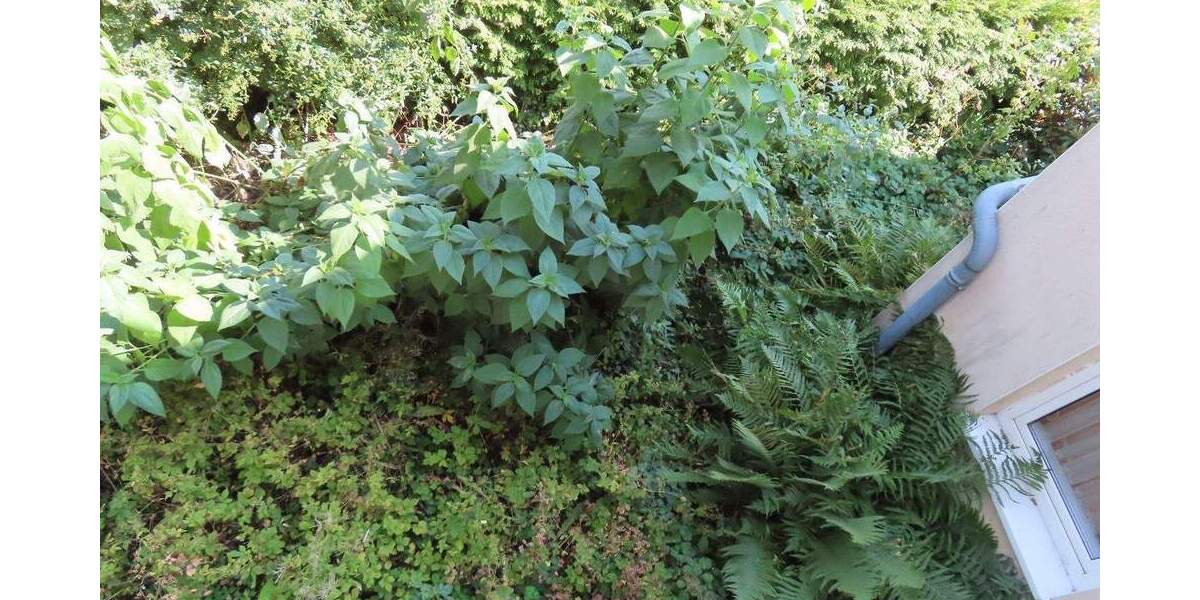 Mehrfamilienhaus, Wohnhaus Hohenleuben Reichenfels - 4 Zimmer, 92 m&sup2;, 125.000&euro; | Angebot:26345782