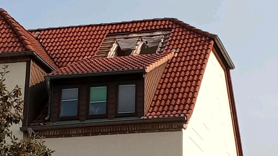 Loft - Studio - Atelier Zeitz - 2.5 Zimmer, 54 m&sup2;, 455&euro; | Angebot:26656105
