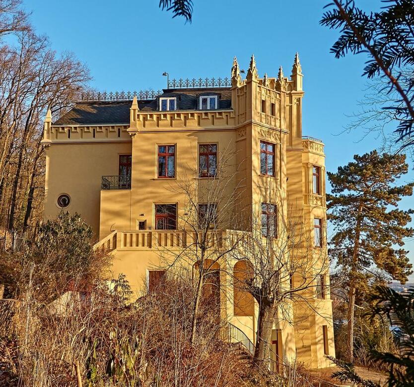 Wohnung in modernisierter historicher Villa am Stadtwald Gera