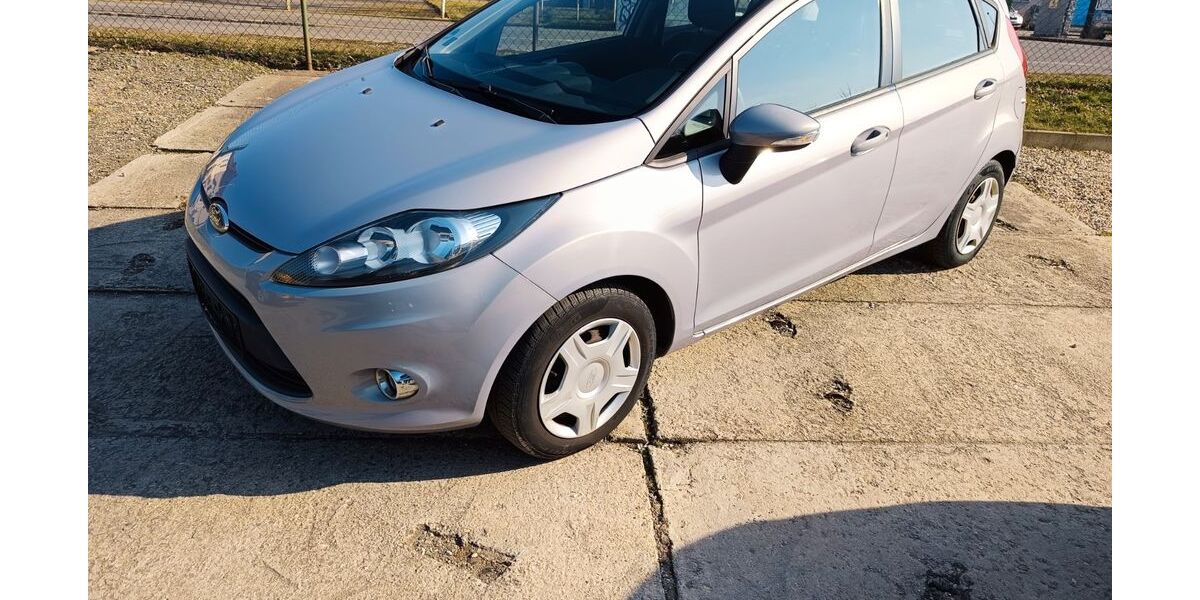 Ford Fiesta 99.989 km 4.899 &euro; Gera 07551