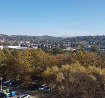 Wohnung Gera Alt-Bieblach - 1 Zimmer, 35 m&sup2;, 250&euro; | Angebot:25523448