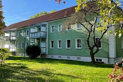 Wohnung Zeitz Theißen - 1 Zimmer, 37 m&sup2;, 270&euro; | Angebot:23427042