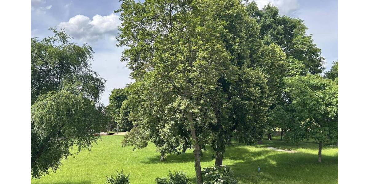 Etagenwohnung Gera Debschwitz - 3 Zimmer, 80 m&sup2;, 75.000&euro; | Angebot:26835279