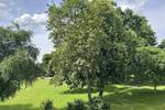 Etagenwohnung Gera Debschwitz - 3 Zimmer, 80 m&sup2;, 75.000&euro; | Angebot:26835279