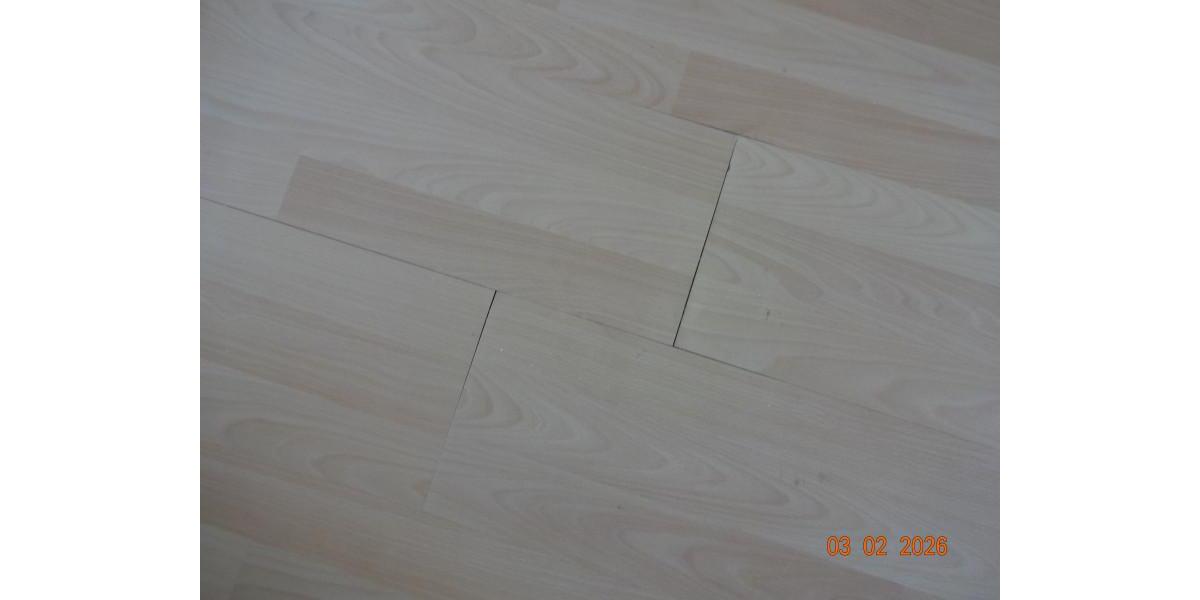 Etagenwohnung Altenburg - 2 Zimmer, 63 m&sup2;, 500&euro; | Angebot:26444042