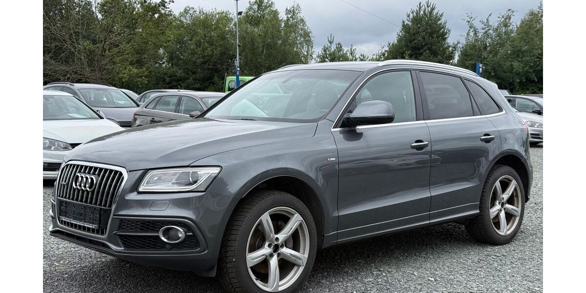 Audi Q5 216.990 km 13.999 &euro; Schleifreisen 07629