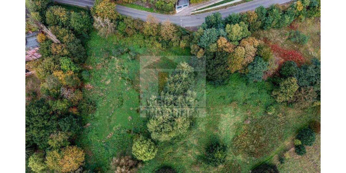 Großzügiges Grundstück in Weida zu verkaufen - ideal für Ihr Bauprojekt! Ohne Bauträgerbindung! zimmer