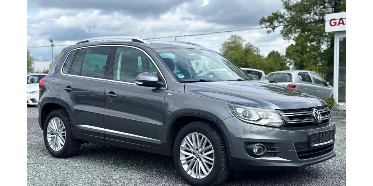 VW Tiguan 174.991 km 8.889 &euro; Schleifreisen 07629