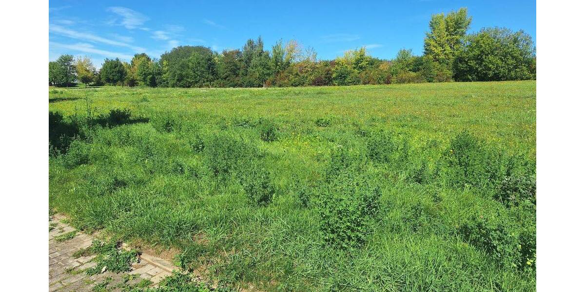 Grundstück Gera Bieblach-Ost - 450.000&euro; | Angebot:25700639