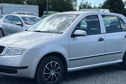 Skoda Fabia 51.441 km 2.899 &euro; Schleifreisen 07629