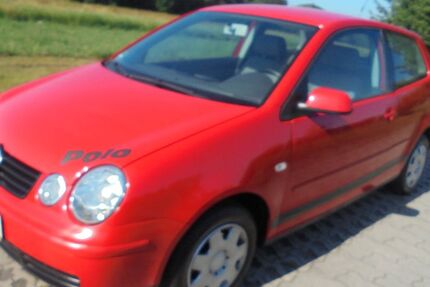 VW Polo 181.000 km 1.799 &euro; Schleifreisen 07629