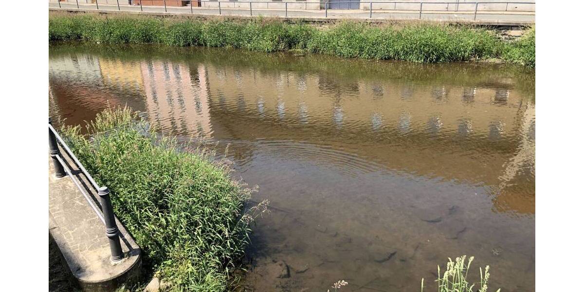 Denkmalgeschütztes Mehrfamilienhaus mit Gewerbeeinheit im Herzen von Weida 7 zimmer