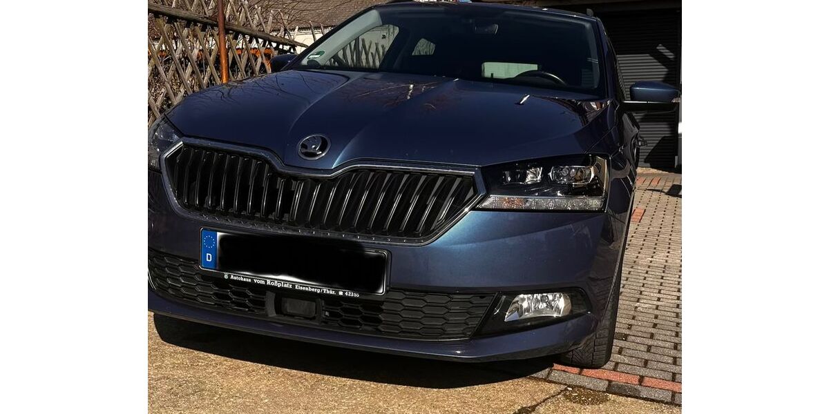 Skoda Fabia 78.100 km 14.100 &euro; Heideland 07613