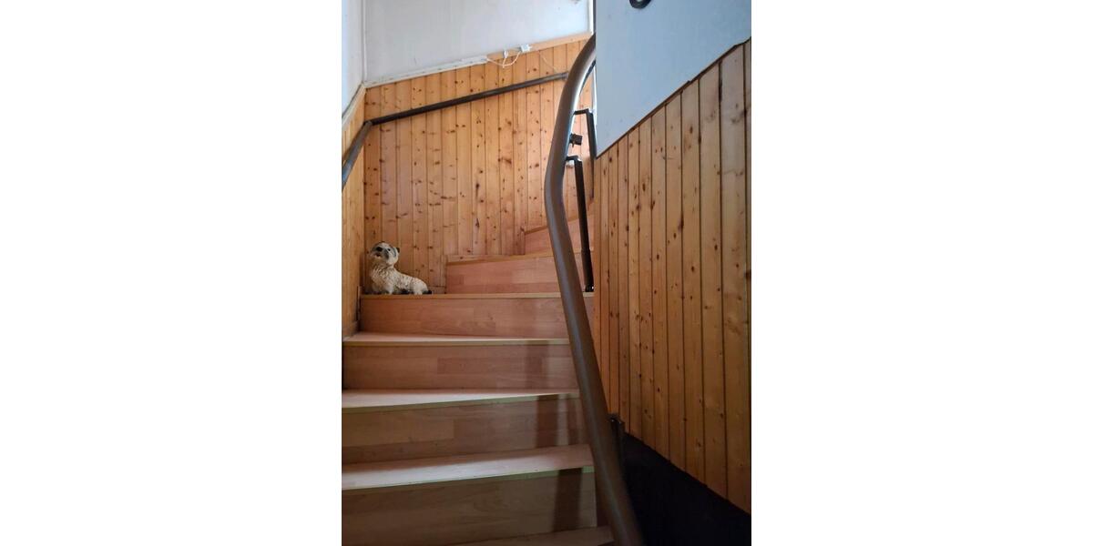 Reihenhaus Werdau - 5 Zimmer, 100 m&sup2;, 65.000&euro; | Angebot:24829937