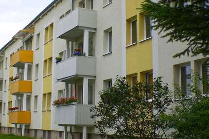 Wohnung Gera Alt-Bieblach - 2 Zimmer, 48 m&sup2;, 315&euro; | Angebot:27694464
