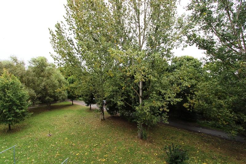 Etagenwohnung Gera Alt-Taubenpreskeln - 1 Zimmer, 37 m&sup2;, 230&euro; | Angebot:25870234