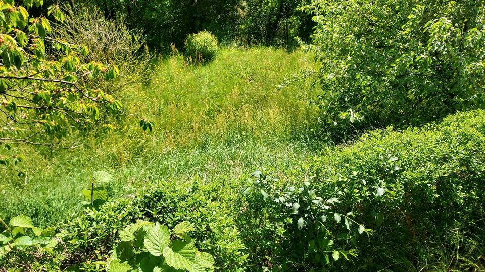 Bungalow Stadtroda - 15.000&euro; | Angebot:26238159