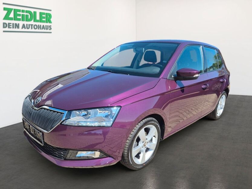 Skoda Fabia 53.390 km 13.750 € Mylau 08499