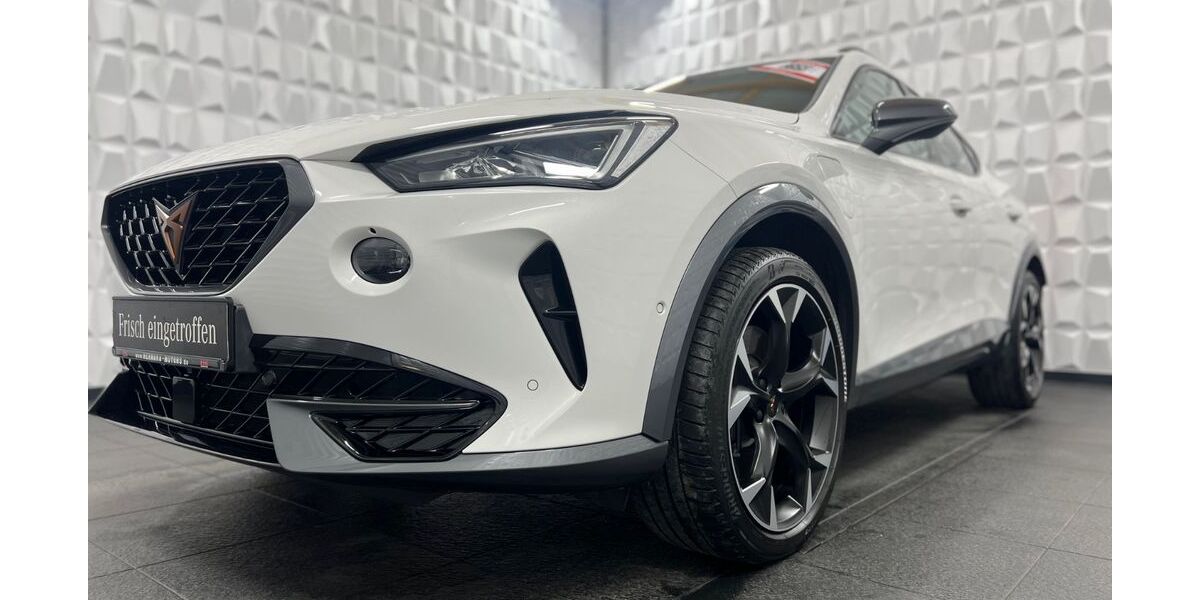 Cupra Formentor 91.969 km 20.889 &euro; Werdau OT Steinpleis 08412