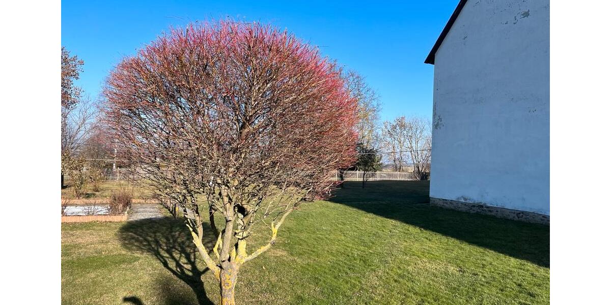 Bauernhaus, Landhaus Triptis - 14 Zimmer, 400 m&sup2;, 288.000&euro; | Angebot:25751321