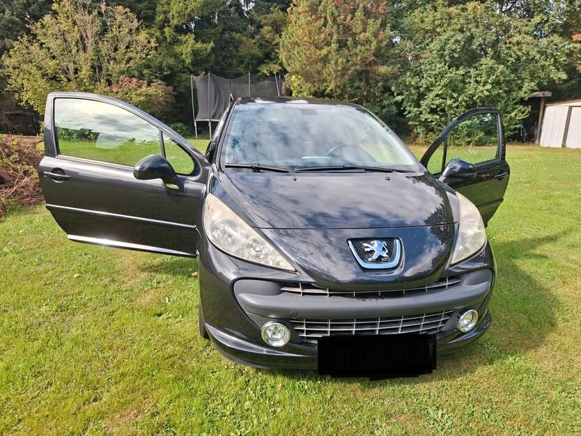 Peugeot 207 166.000 km 3.300 € Ponitz 04639