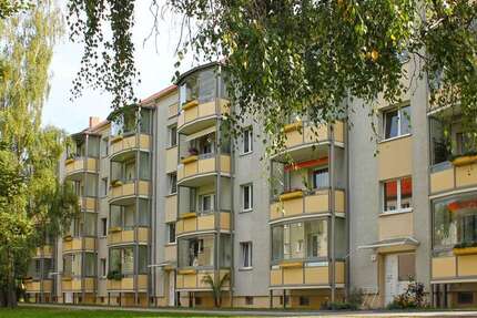 Wohnung zum Mieten in Gera 378,36 € 63.06 m² 3 zimmer