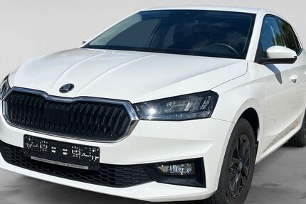 Skoda Fabia 14.023 km 16.190 &euro; Triptis 07819
