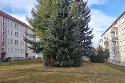 Wohnung Crimmitschau - 2.5 Zimmer, 59 m&sup2;, 29.000&euro; | Angebot:25274164