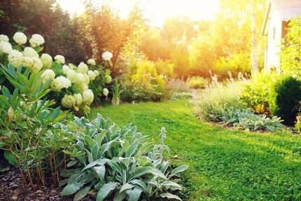 Mitten in Ronneburg - Mein Grundstück zimmer