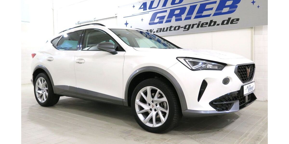 Cupra Formentor 82.800 km 24.450 € Miesitz 07819