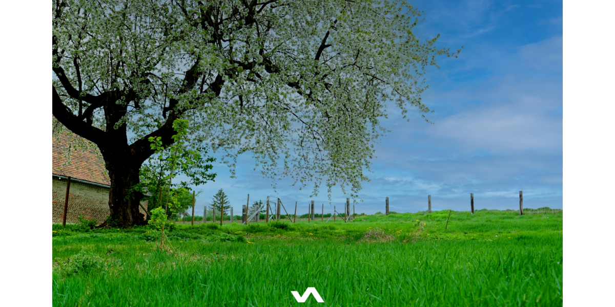 Grundstück zu verkaufen in Stößen 65.000 € 1409 m² zimmer