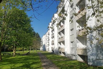 Wohnung Hermsdorf - 3 Zimmer, 60 m&sup2;, 350&euro; | Angebot:25648744