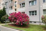 Etagenwohnung Hermsdorf - 3 Zimmer, 59 m&sup2;, 350&euro; | Angebot:26425562