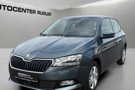 Skoda Fabia 41.145 km 13.690 &euro; Zeulenroda-Triebes 07937