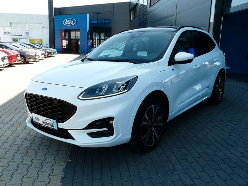 Kuga
