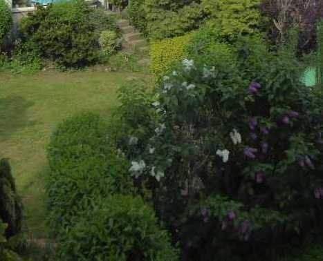 Etagenwohnung Zeulenroda-Triebes Zeulenroda - 3 Zimmer, 88.500&euro; | Angebot:25688083