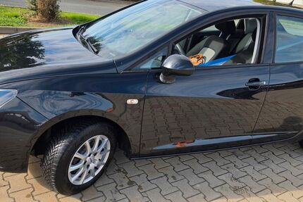 Seat Ibiza 103.500 km 5.950 &euro; Niederalbertsdorf 08428