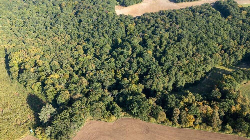 Grundstück Heideland OT Lindau Rudelsdorf - 7.000&euro; | Angebot:25094674